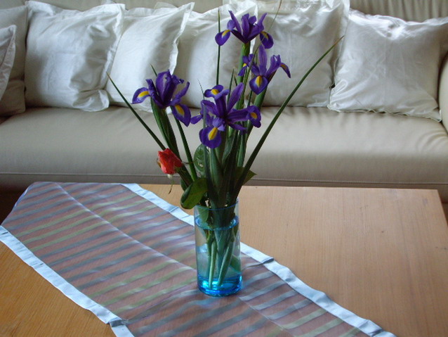 Iris Glitter 40 Den Black main image 1