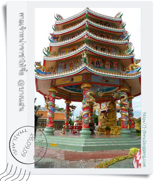 My Image 31