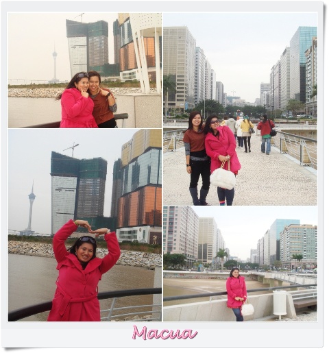 My Image 11