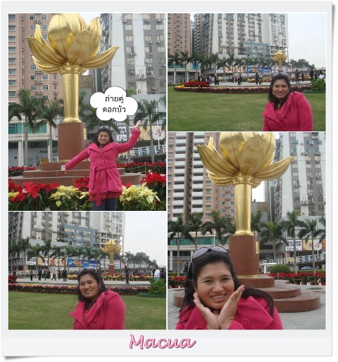 My Image 24