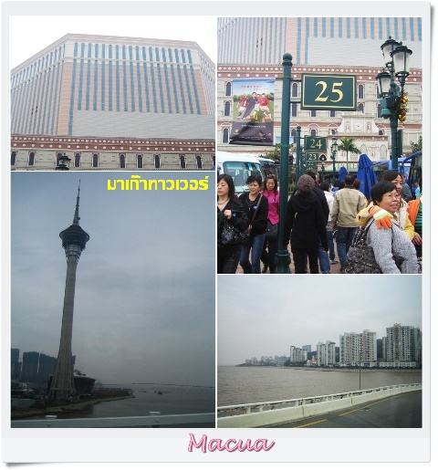 My Image 7