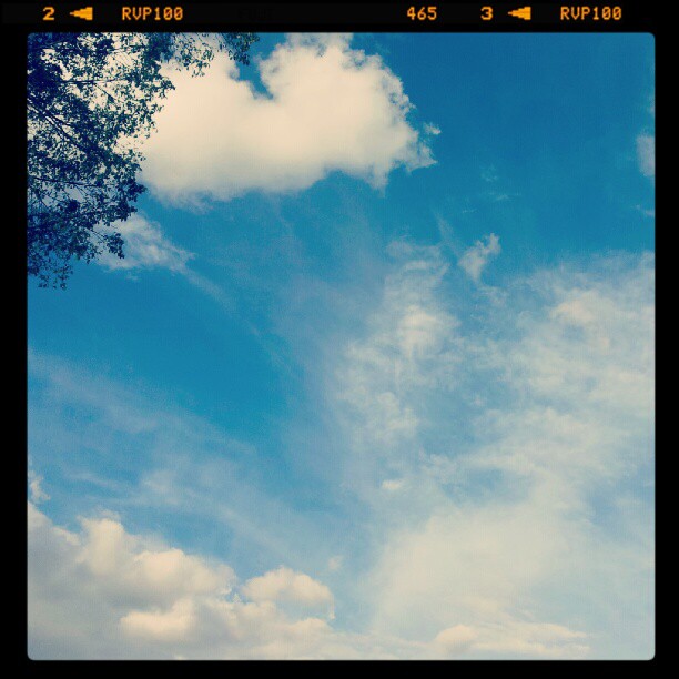 My Image 15