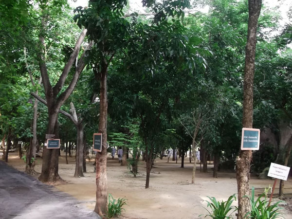ลานอมตะธรรม วัดมเหยงคณ์