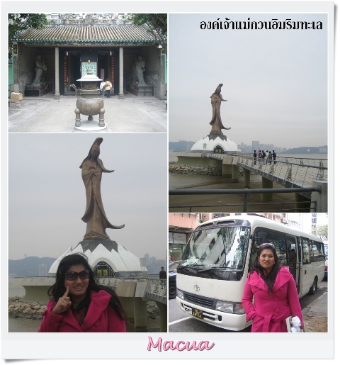 My Image 14