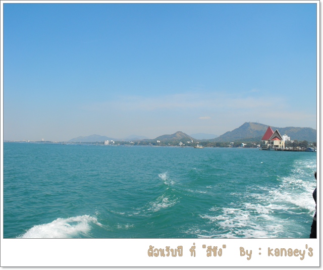 My Image 49