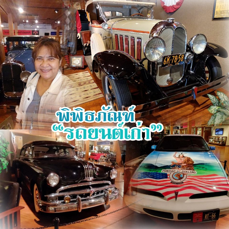 My Image 29