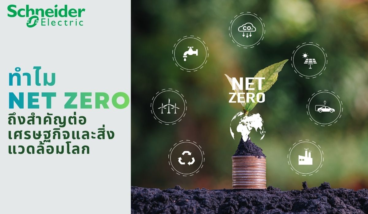 ทำไม Net Zero ถึงสำคัญต่อเศรษฐกิจและสิ่งแวดล้อมโลก