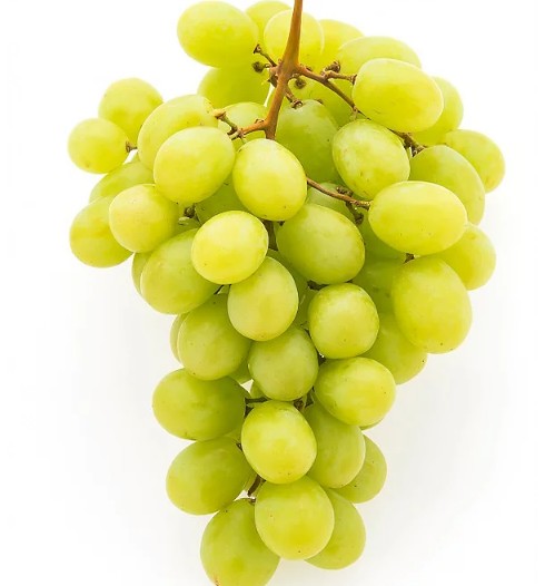 My Image 26