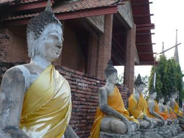 คนป่าหาธรรม