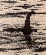 ѹúͺ 81 Ҿ·ժ§شͧ Loch Ness Monster