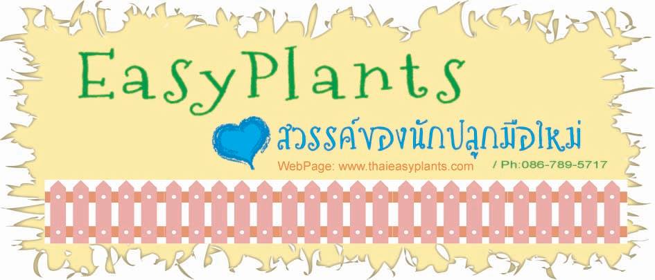 www.thaieasyplants.com