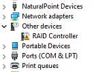 Raid Error  Device manager