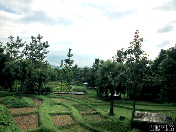 Veranda Resort&Spa