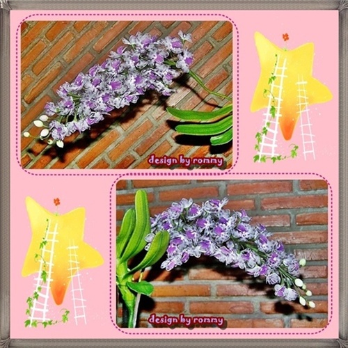 My Image 7