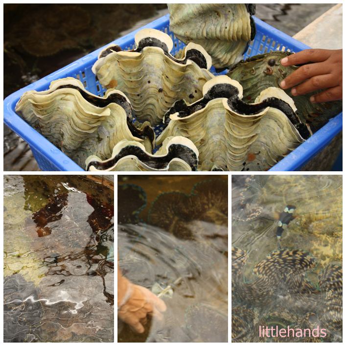 Bloggang.com : MamaBun - เที่ยวอุตลุด ชุลมุนชุลเกกับบรรดา ...