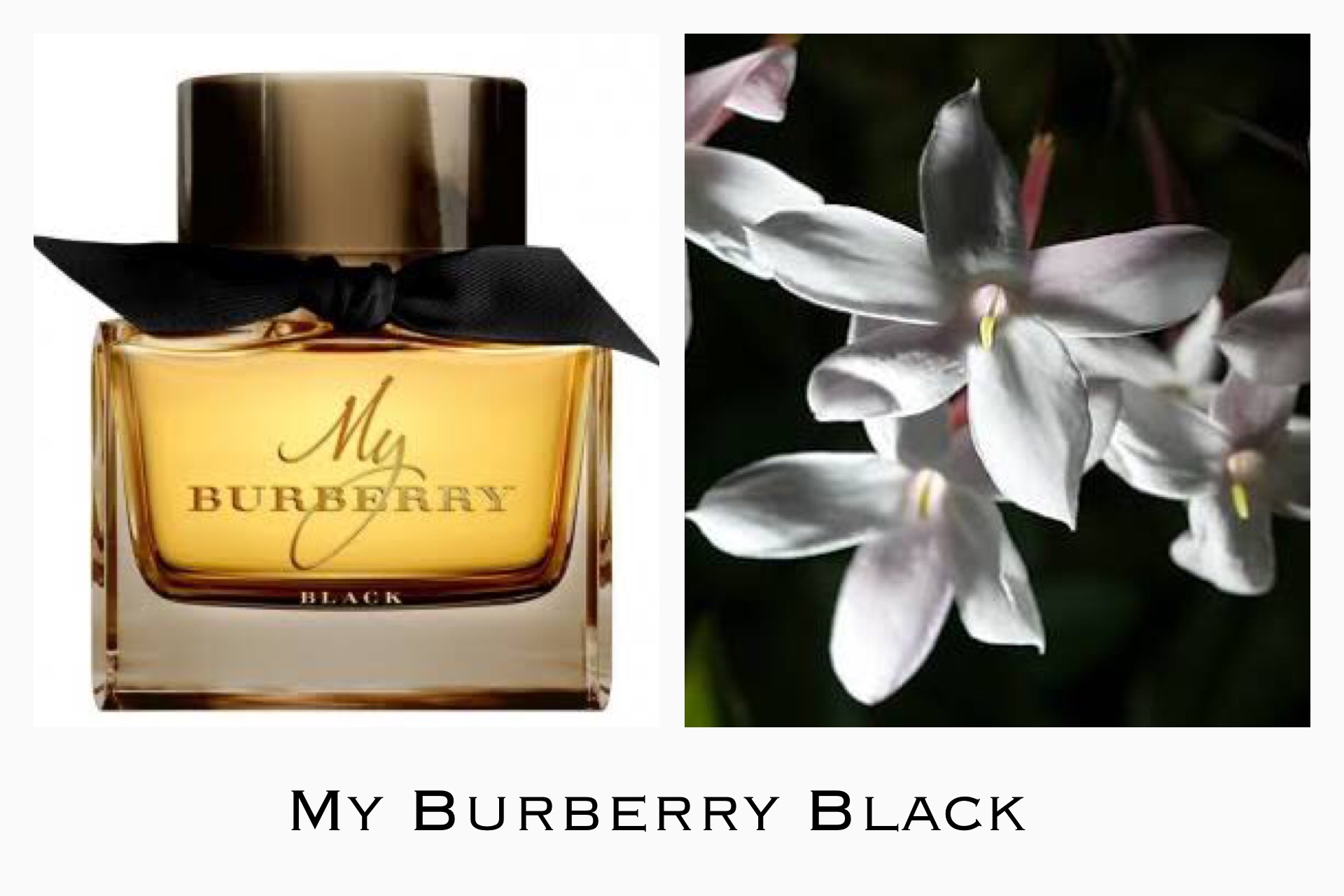 รีวิวน้ำหอมใหม่ My Burberry Black 