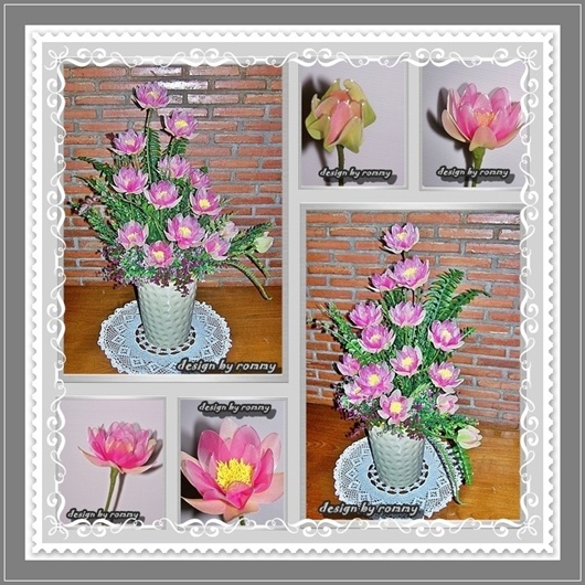 My Image 20