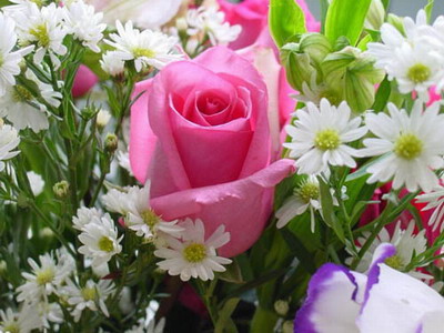 http://www.bloggang.com/data/m/maitai/picture/1315733856.jpg