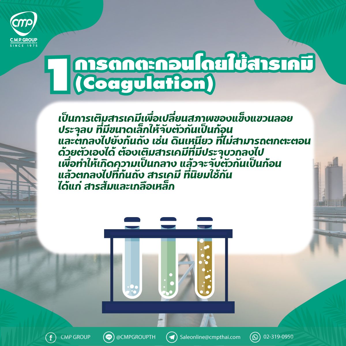 My Image 3