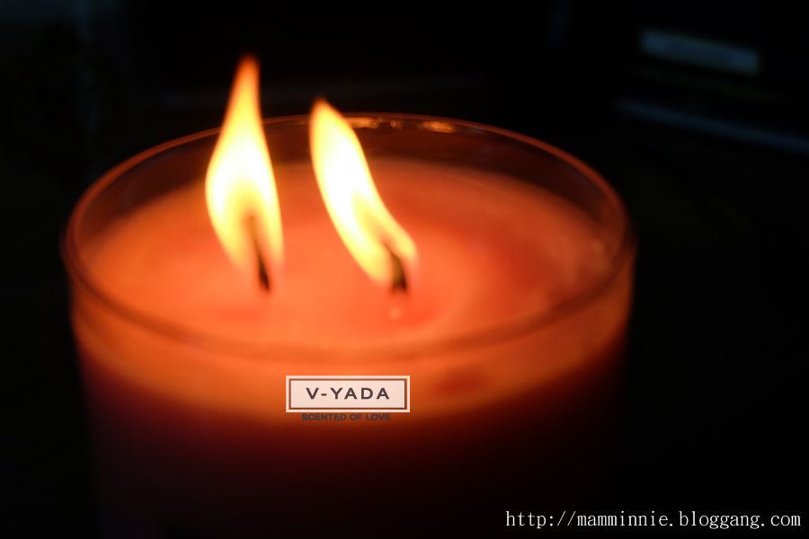 เทียนหอมไขถั่วเหลือง (Hydrogenated Soybean Oil Candle) VYADA ช่างหอมจริง ๆ