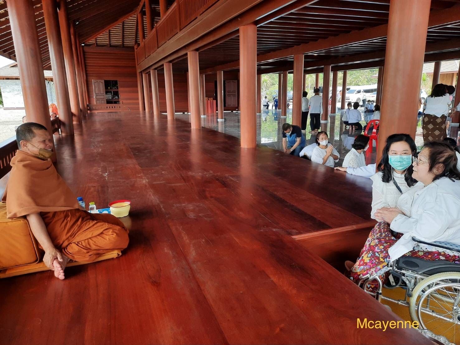 17 พย 64 ดอกปีบ - บ้านเกิดเมืองนอน 17 พย 64 ดอกปีบ - บ้านเกิดเมืองนอน