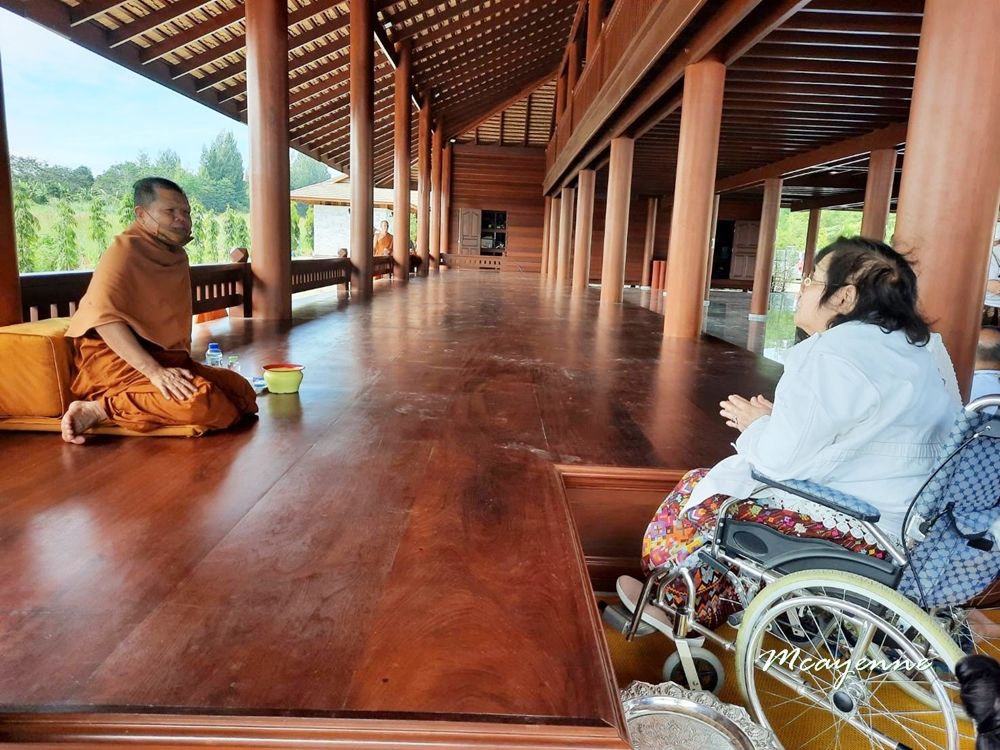 17 พย 64 ดอกปีบ - บ้านเกิดเมืองนอน 17 พย 64 ดอกปีบ - บ้านเกิดเมืองนอน