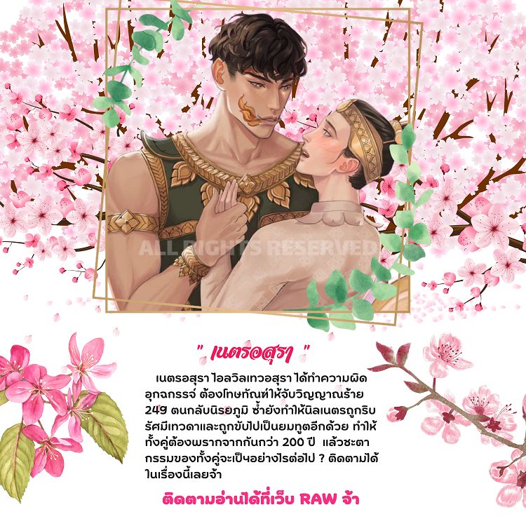 My Image 24