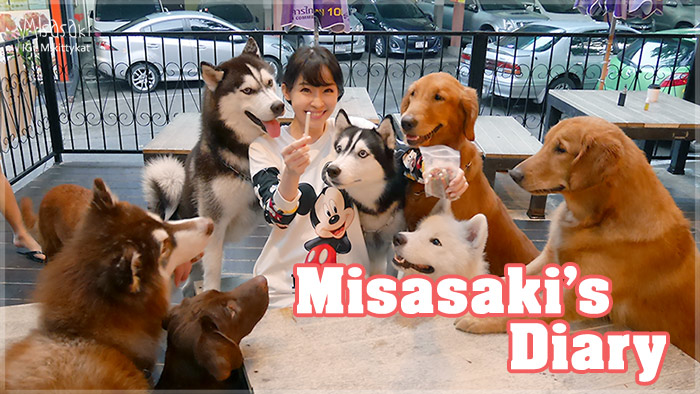 Misasaki Diary LoL Dogs cafe