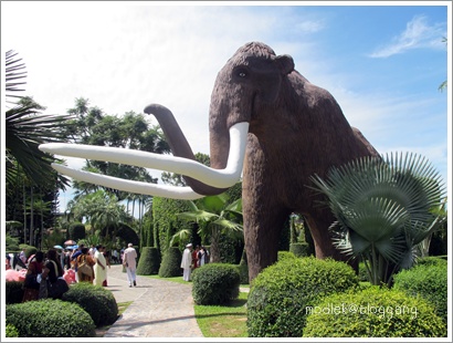ผลการค้นหารูปภาพสำหรับ สวนช้างแมมมอธ สวนนงนุช