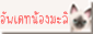 อัพเดทน้องมะลิ