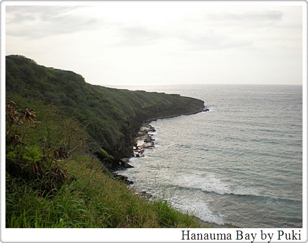 Java Hoon Bay Diary from Hawaii6