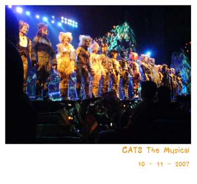 CATS The Musical