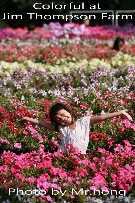 Colorful at Jim Thompson Farm Korat..Photo by Mr.hong