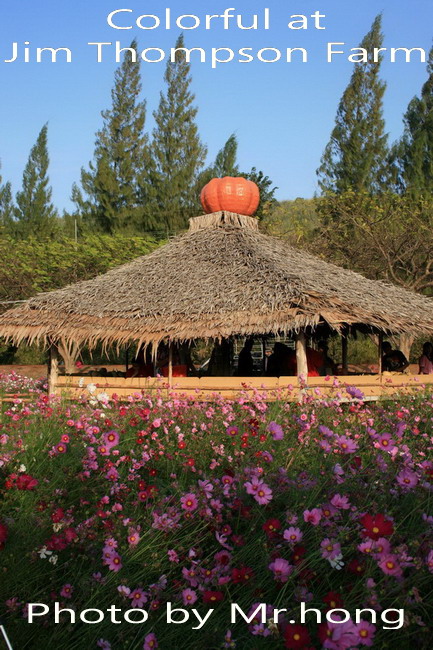 Colorful at Jim Thompson Farm Korat..Photo by Mr.hong