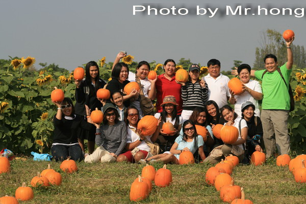 Colorful at Jim Thompson Farm Korat..Photo by Mr.hong