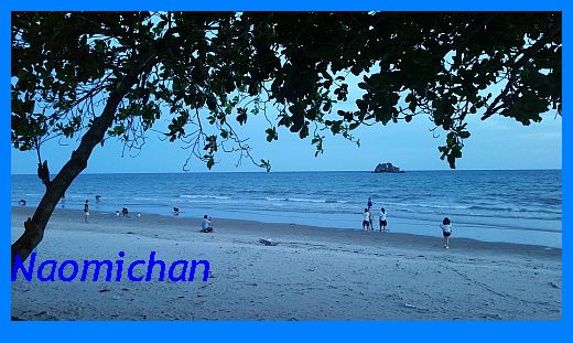 dolphin pattaya ราคา beach resort