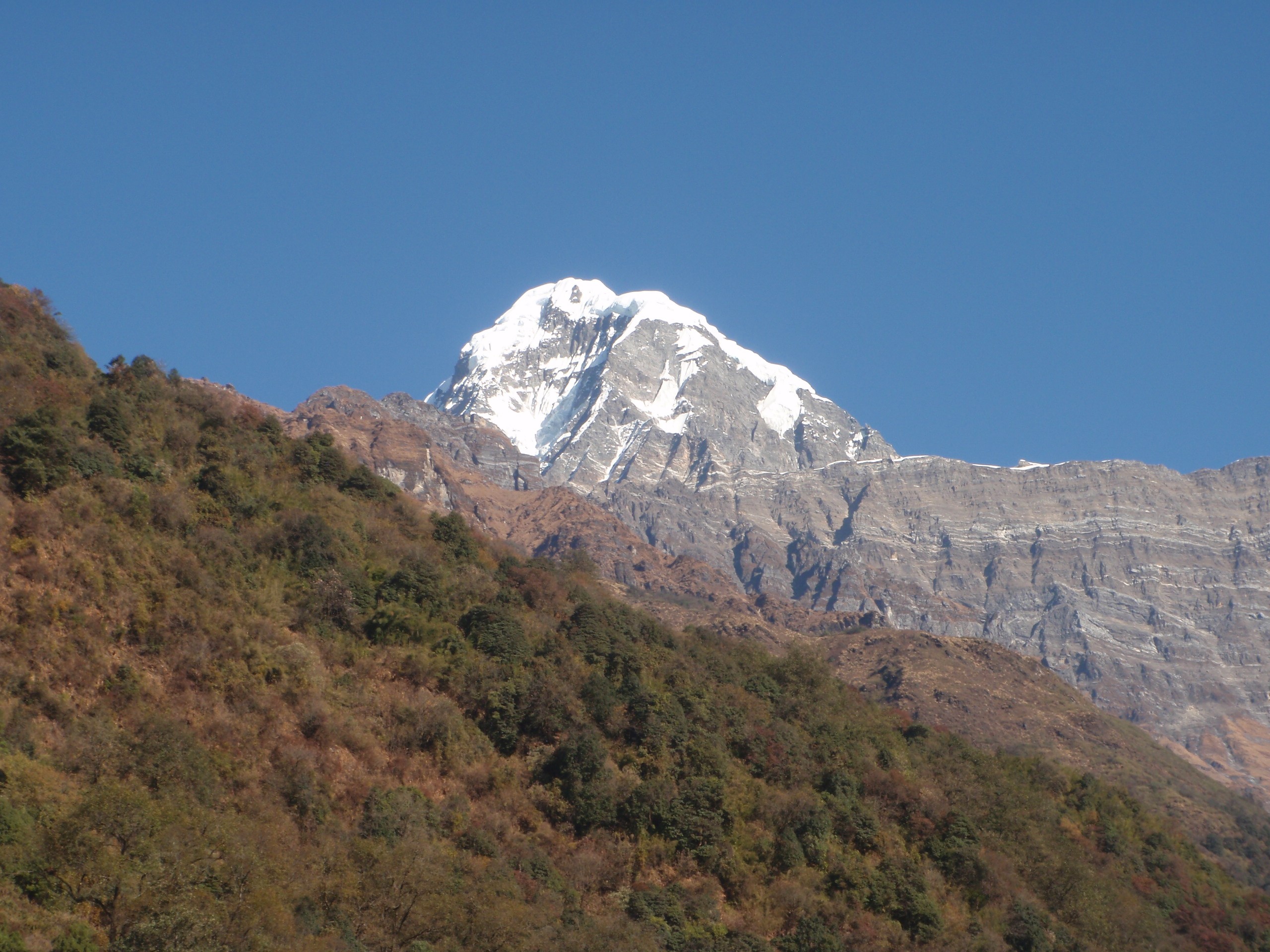 Mardi Himal Trek