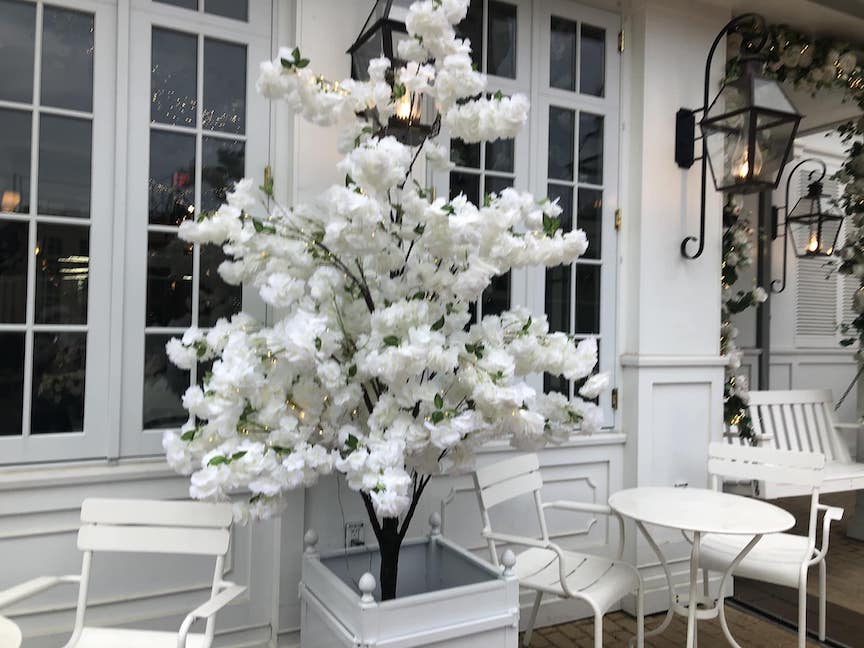 ร้าน CAKE & BAKE SHOP Indianapolis