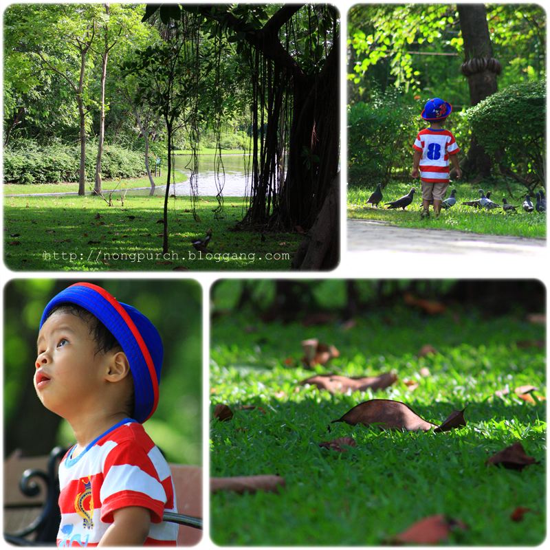 My Image 37