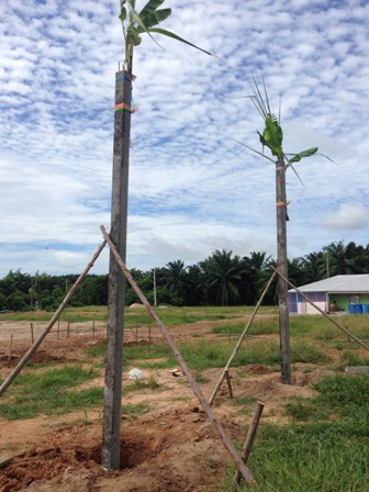 เสาเอก