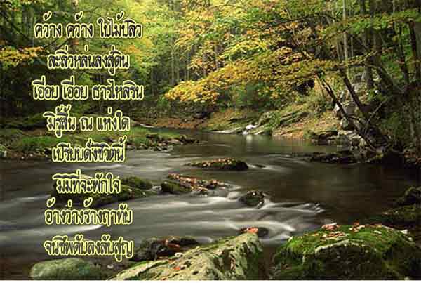 คว้าง คว้าง ใบไม้ปลิว........... คว้าง คว้าง ใบไม้ปลิว...........