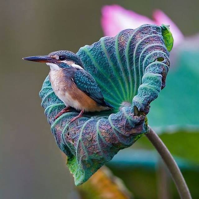 My Image 3