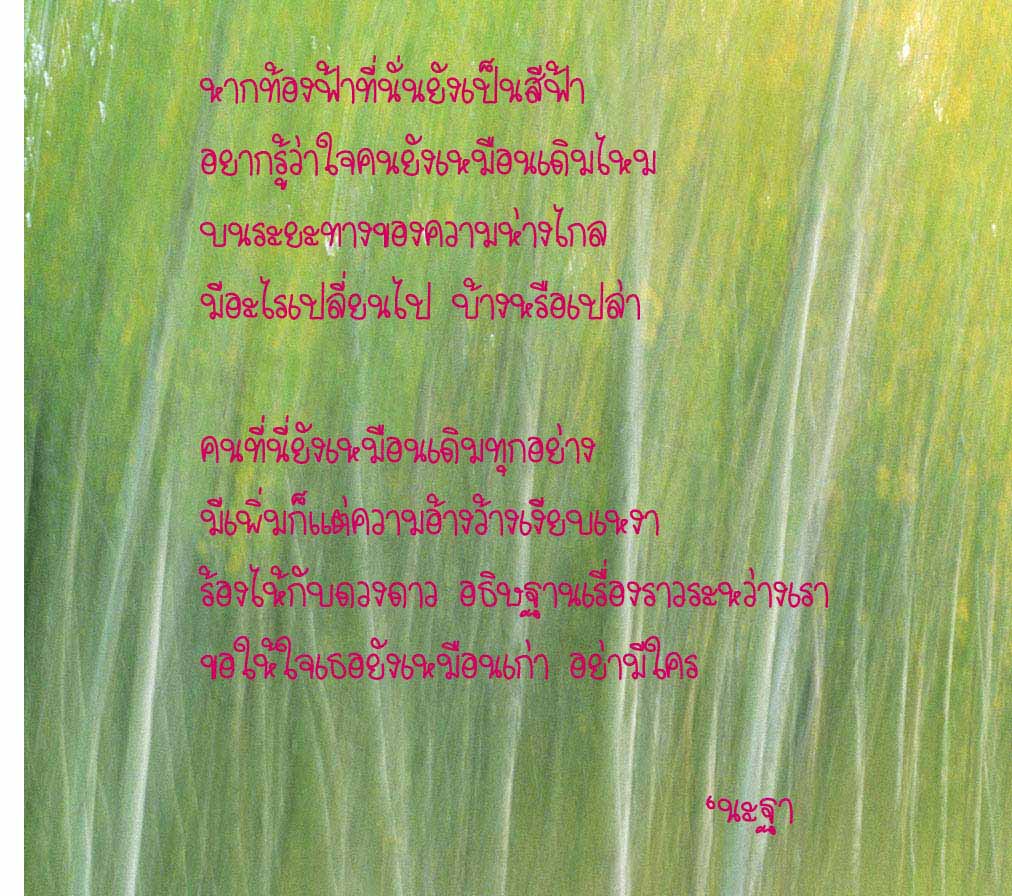 My Image 69