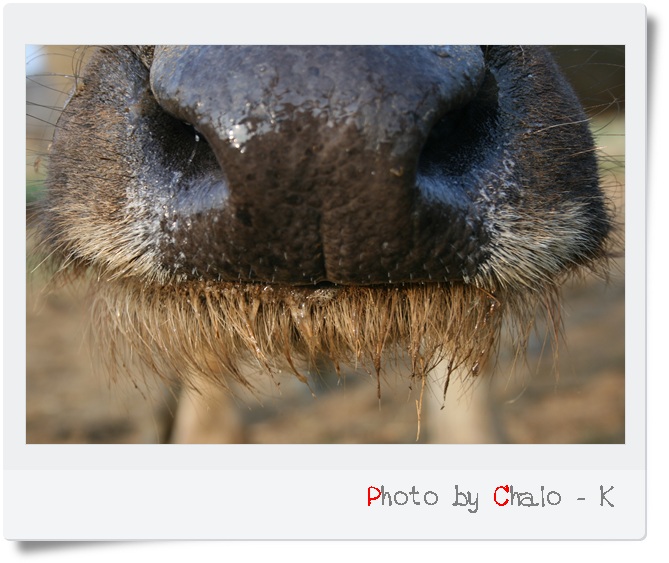 My Image 9