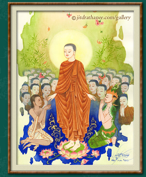 My Image 14