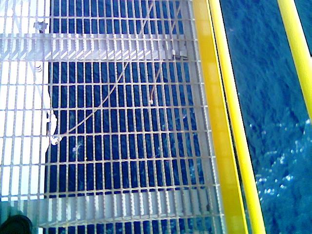 วิศวกรสนาม Field Engineer