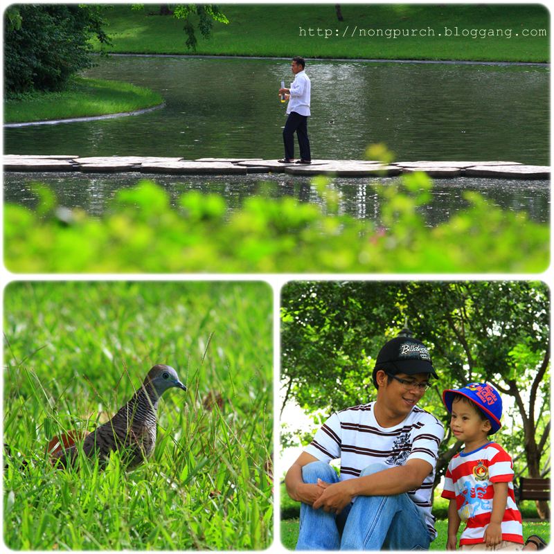 My Image 9