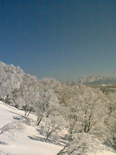 Nozawa Onsen Ski #1