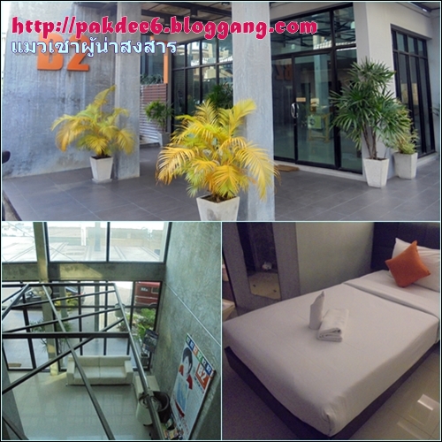 My Image 20