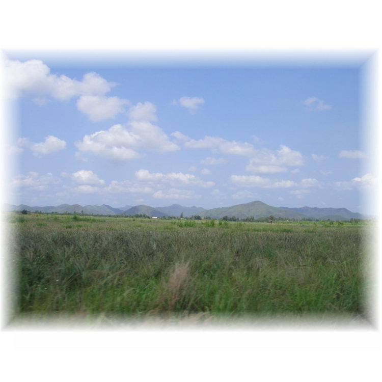My Image 103